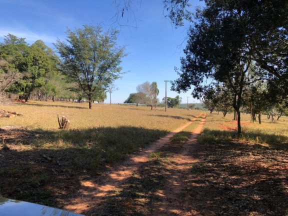 Imagem Imóvel à Venda, 21 m² em área Rural De Paulistânia - Paulistânia