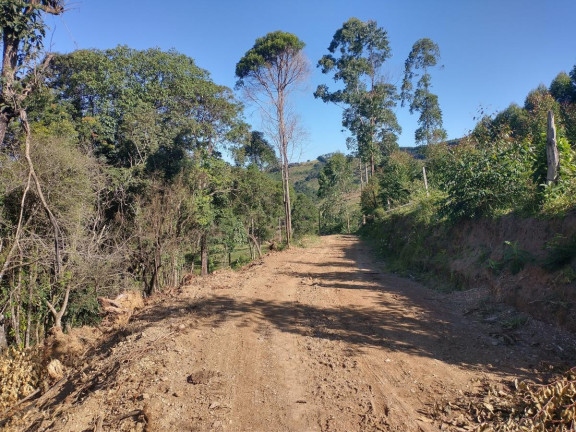 Imagem Chácara à Venda, 1.000 m² em Pocinhos Do Rio Verde - Caldas