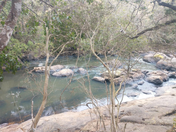 Imagem Chácara à Venda, 20.000 m² em Rio Pardo - Caldas