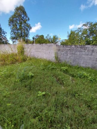 Foto do imóvel: Casa com 3 Quartos à Venda, 12 m² em Catu De Abrantes (abrantes) - Camaçari