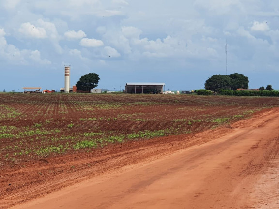 Imagem Fazenda à Venda, 14.530.000 m² em Zona Rural - Navirai