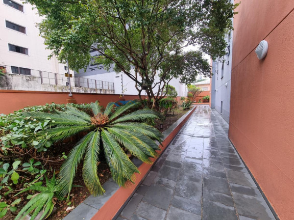 Imagem Apartamento com 1 Quarto à Venda, 55 m² em Jardim - Santo André