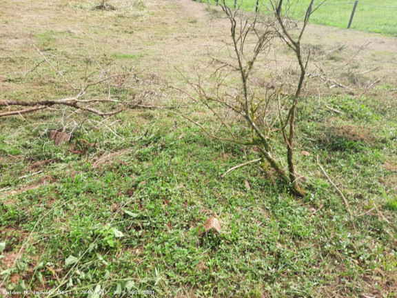 Imagem Chácara à Venda, 3.600 m² em Pocinhos Do Rio Verde - Caldas