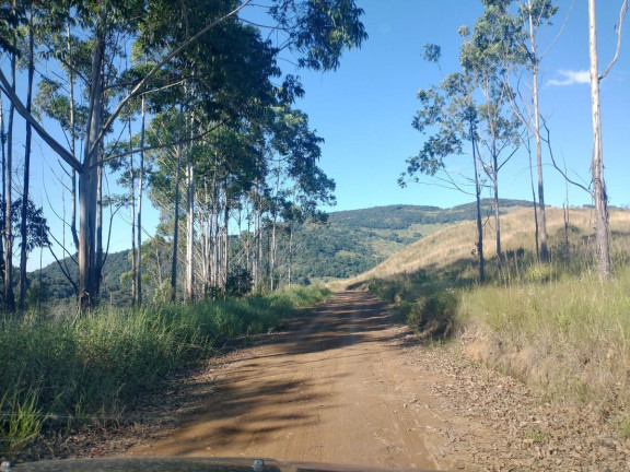 Imagem Chácara à Venda, 1.000 m² em Pocinhos Do Rio Verde - Caldas