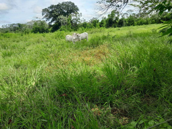 Imagem Chácara à Venda, 5 m² em Zona Rural - Montes Claros De Goiás