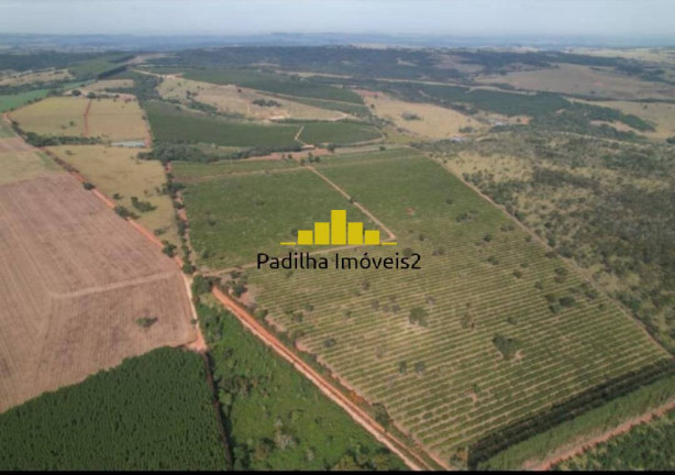 Imagem Fazenda à Venda, 170 m² em Rural - Angatuba