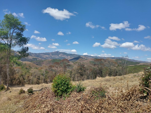 Imagem Chácara à Venda, 1.000 m² em Pocinhos Do Rio Verde - Caldas