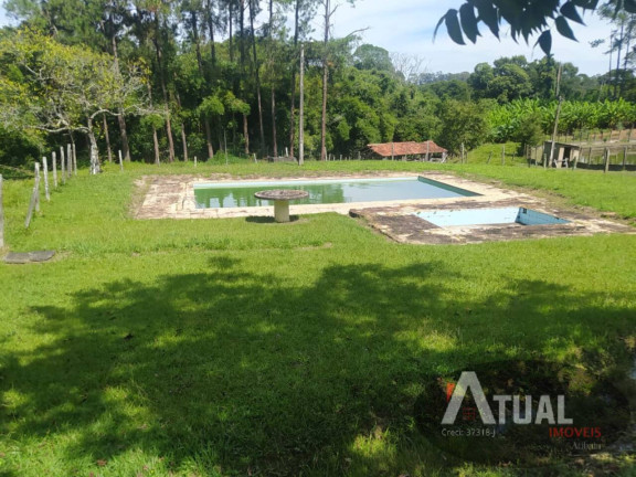 Imagem Chácara com 5 Quartos à Venda, 300 m² em Jardim Colonial - Atibaia