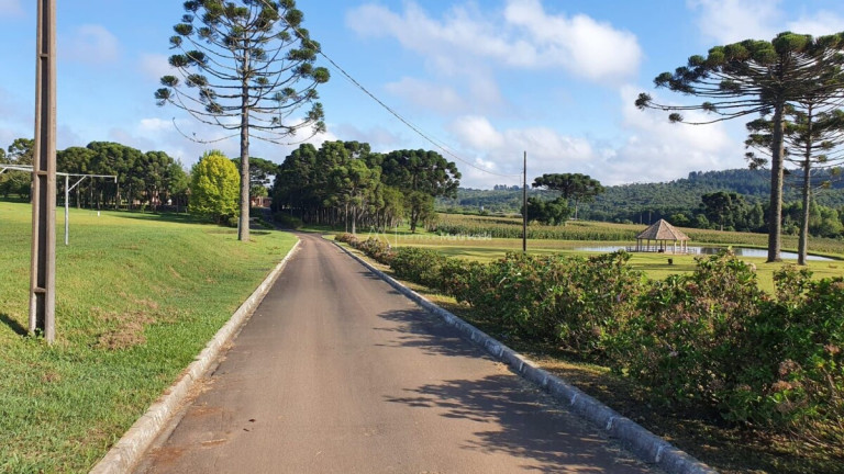 Imagem Fazenda à Venda, 4.500 m² em Centro - Campina Grande Do Sul