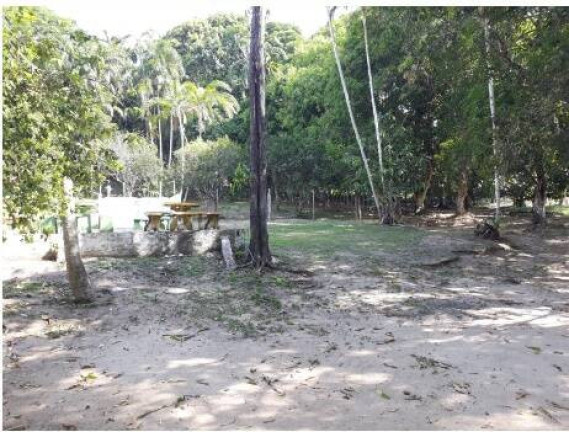 Imagem Terreno à Venda, 14 m² em Santa Etelvina - Manaus