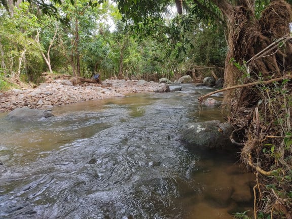 Imagem Imóvel à Venda,  em Tigipio - São João Batista