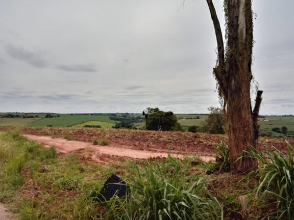 Imagem Terreno à Venda, 10.000 m² em Bairro Dos Pires - Limeira