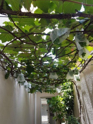 Imagem Casa com 3 Quartos à Venda, 125 m² em Jardim Alvorada - São José Dos Campos