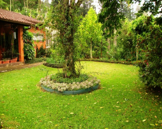 Imagem Imóvel com 2 Quartos à Venda, 232 m² em Vila Olinda - Nova Petrópolis