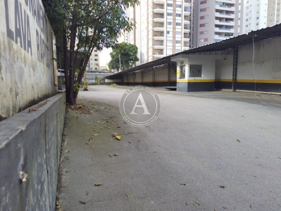 Imagem Terreno para Alugar, 1.042 m² em Vila Leopoldina - São Paulo