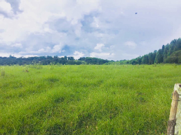 Imagem Chácara à Venda, 9 m² em Area Rural De Avaré - Avaré