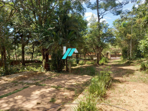 Imagem Fazenda à Venda, 30.000 m² em Satelite - Juatuba