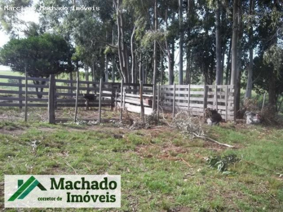 Imagem Imóvel à Venda, 20 m² em Rural - São Sepé