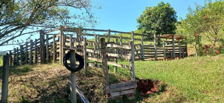 Imagem Imóvel com 1 Quarto à Venda, 121.000 m² em Guaranjanga - Cunha