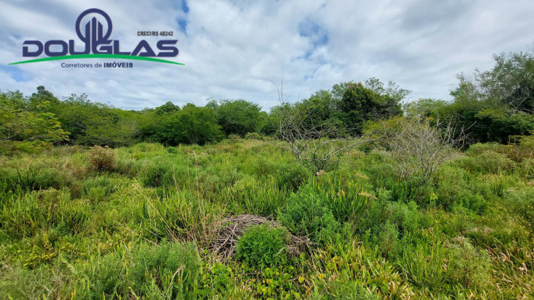 Imagem Chácara à Venda, 20.000 m² em águas Claras - Viamão