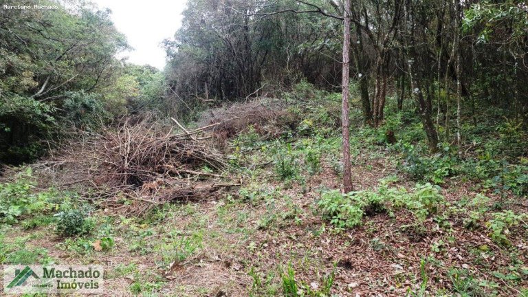 Imagem Terreno à Venda, 2 m² em Rural - Itaara