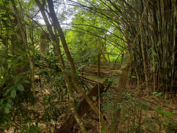 Imagem Imóvel Comercial à Venda, 2.400 m² em Quinta Do Vinho - Caldas