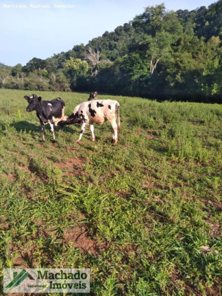 Imagem Terreno à Venda, 48 m² em Rural - Erval Seco