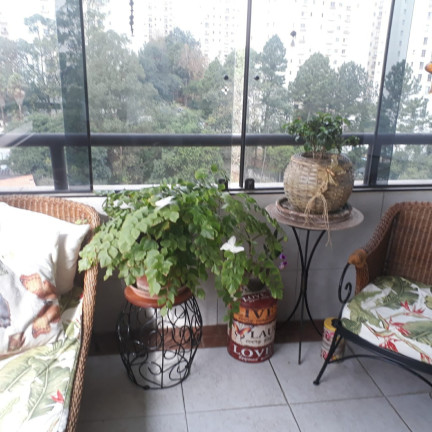 Imagem Apartamento com 3 Quartos à Venda, 130 m² em Vila Andrade - São Paulo