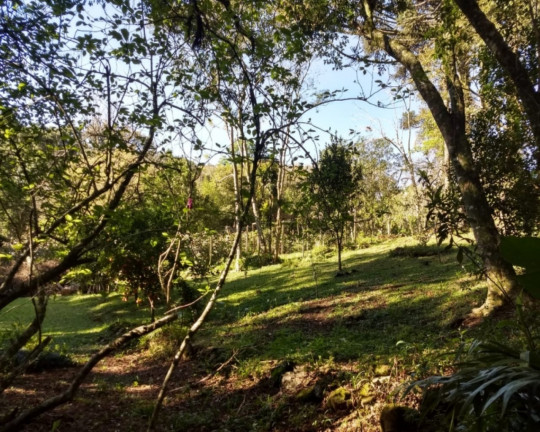 Imagem Imóvel com 4 Quartos à Venda,  em Centro - Morro Reuter