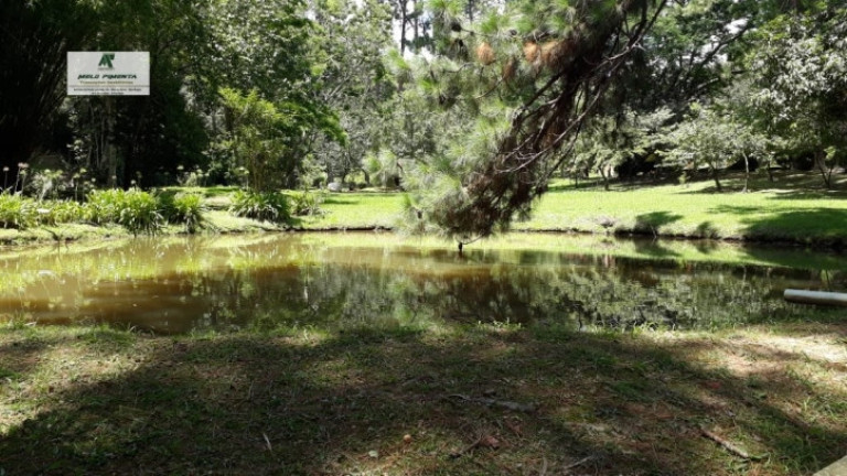 Imagem Fazenda à Venda, 38.000 m² em Sorocamirim - São Roque