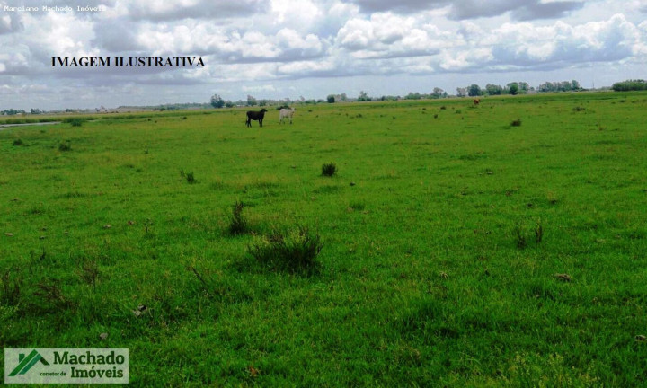 Imagem Imóvel à Venda, 20 m² em Rural - Santiago