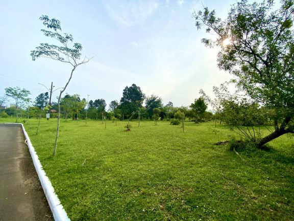 Imagem Terreno à Venda, 300 m² em Moinhos De Vento - Canoas