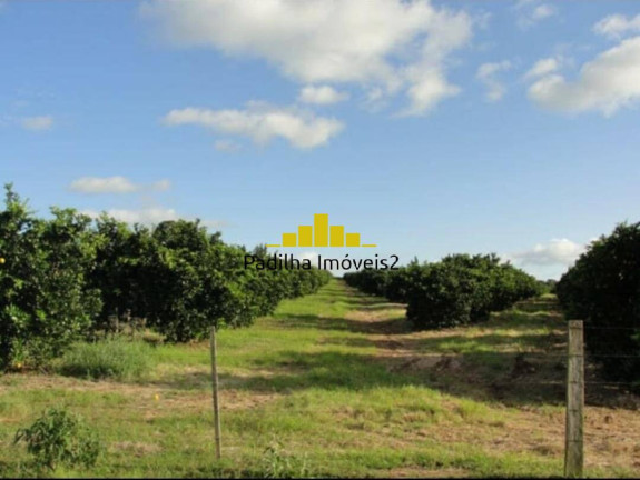 Imagem Fazenda à Venda, 170 m² em Rural - Angatuba