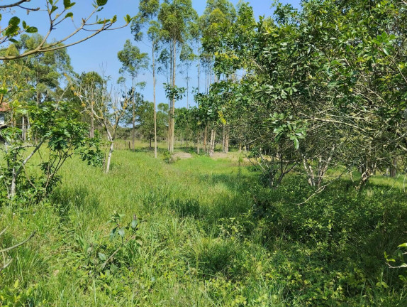 Imagem Chácara com 2 Quartos à Venda, 8.500 m² em Pinheiros - Balneário Barra Do Sul