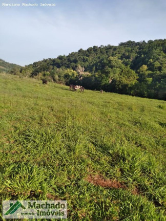 Imagem Terreno à Venda, 48 m² em Rural - Erval Seco