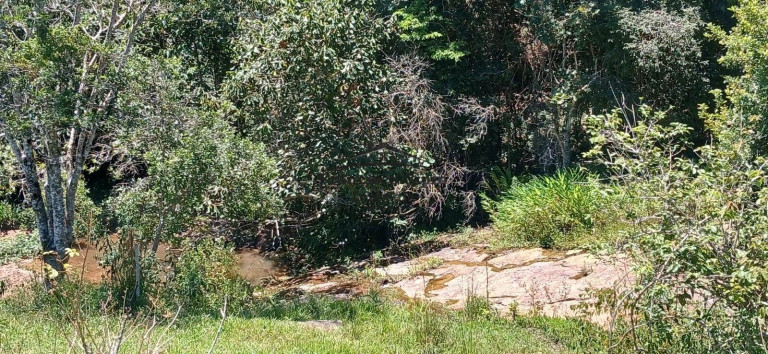 Imagem Imóvel à Venda, 1.600 m² em Campos Novos - Cunha