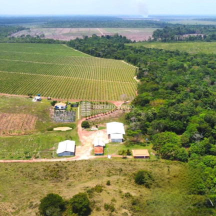 Imagem Imóvel com 3 Quartos à Venda, 9.600.000 m² em Centro  - Tomé-açú