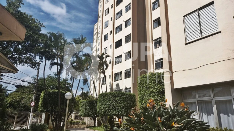 Apartamento com 2 Quartos à Venda, 50 m² em Jardim Andaraí - São Paulo