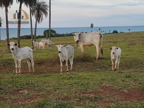 Imagem Fazenda à Venda, 22.022.000 m² em Distrito Industrial - Presidente Prudente