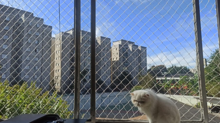 Imagem Apartamento com 3 Quartos à Venda, 87 m² em Jardim Patente - São Paulo