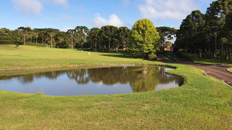 Imagem Fazenda à Venda, 4.500 m² em Centro - Campina Grande Do Sul