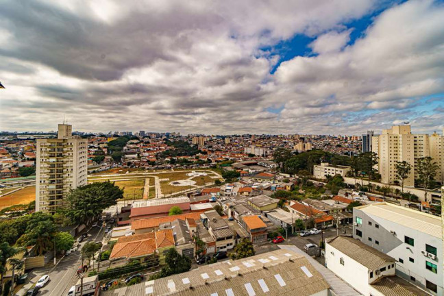 Imagem Cobertura com 3 Quartos à Venda, 231 m² em Vila Mascote - São Paulo