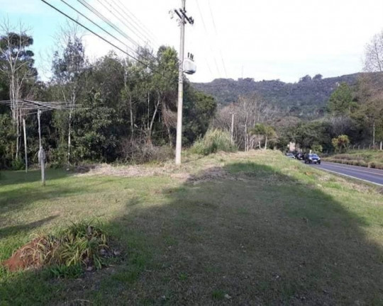 Imagem Imóvel à Venda, 5.000 m² em Linha Araripe - Nova Petrópolis