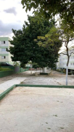 Imagem Apartamento com 2 Quartos à Venda, 56 m² em Jardim Paulicéia - Campinas