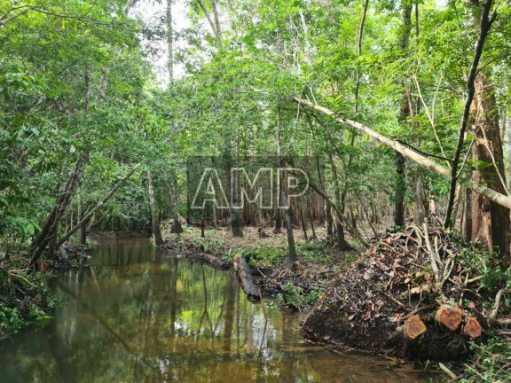 Imagem Terreno à Venda, 45.000 m² em Centro - Iranduba