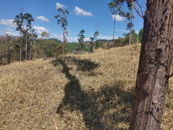 Imagem Chácara à Venda, 1.000 m² em Pocinhos Do Rio Verde - Caldas