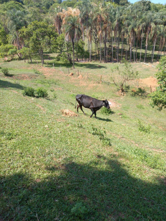 Imagem Chácara à Venda, 6 m² em Zona Rural - Taquaral De Goiás