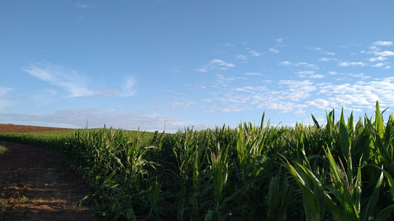 Imagem Fazenda à Venda, 54 m² em Itai - Itaí