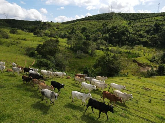 Imagem Fazenda à Venda, 4.300.000 m² em Zona Rural - Poços De Caldas