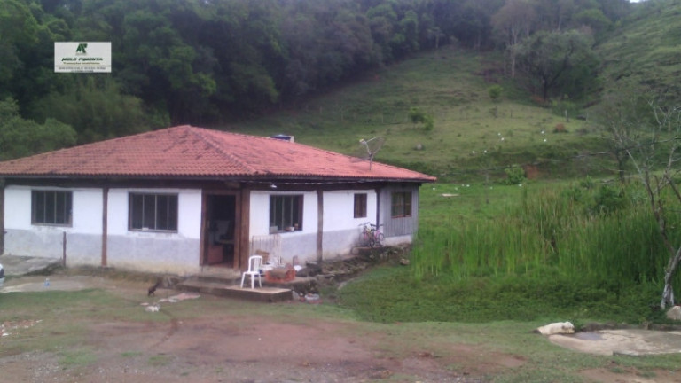 Imagem Fazenda à Venda, 5.000 m² em Planalto Verde - São Roque